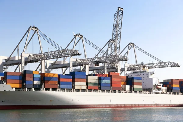 Containerschiff und Kräne — Stockfoto