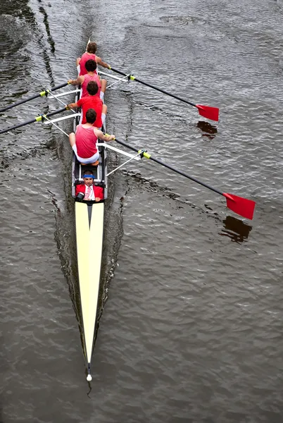 Coxed four from above — Stock Photo, Image