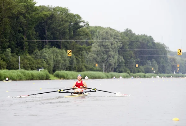 Rowing race — Stock Photo, Image