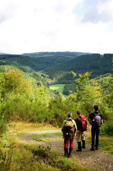 Stock image Ardennes