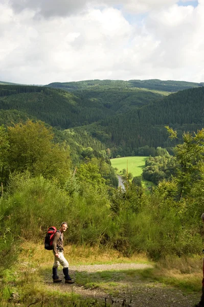 stock image Ardennes