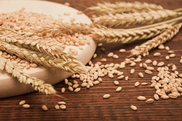 Wheat grains — Stock Photo, Image