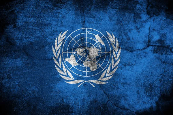 联合国旗 — 图库照片