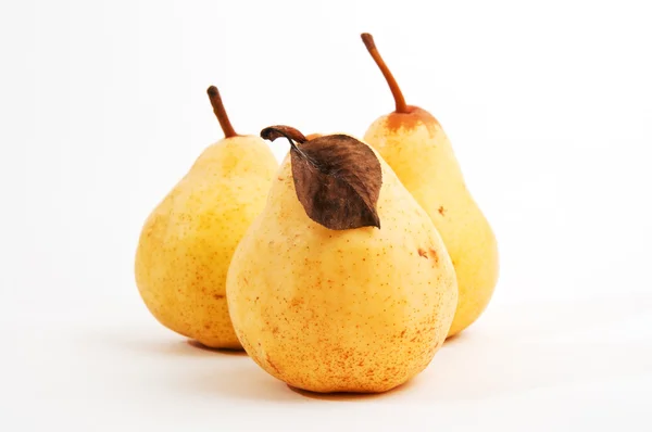 Жовтий груші — стокове фото