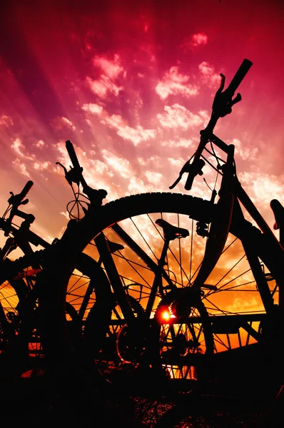 Silhuetas de bicicleta — Fotografia de Stock