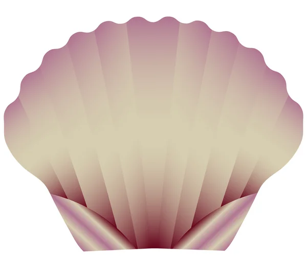 A Sea Scallop Isolated on White — Stock Vector