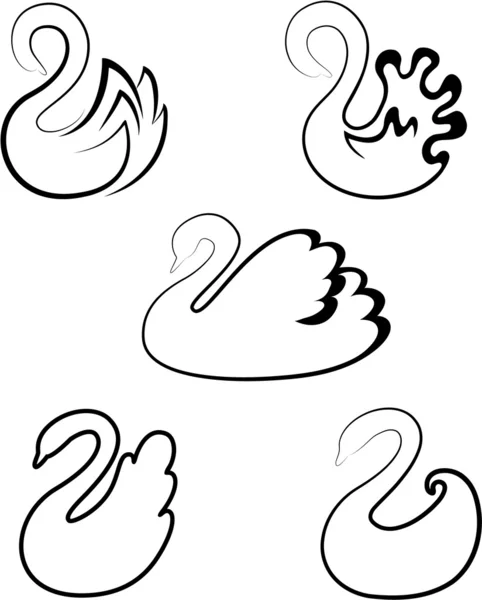 Illustration d'un cygne nageant . — Image vectorielle