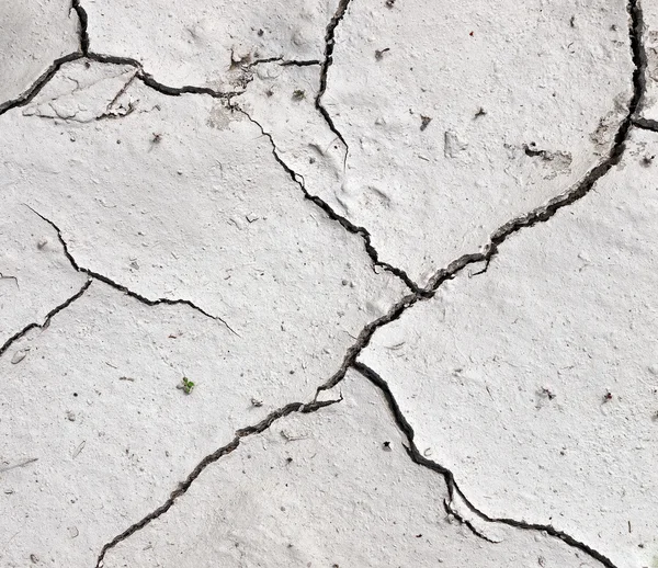 Drought - dry river bed detail — Stock Photo, Image