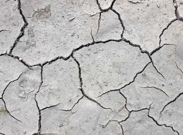 stock image Baked and parched river bed - background