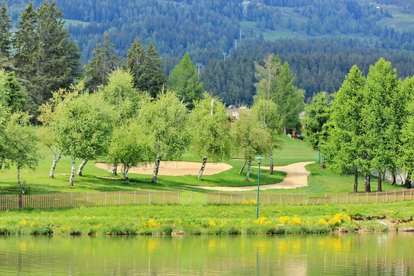 나무와 골프 — 스톡 사진