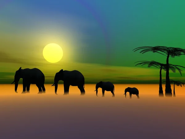 Elephants and sun — Stock Photo, Image