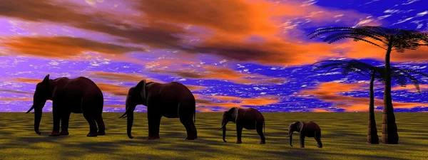 Elefántok — Stock Fotó