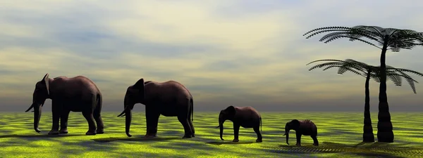 Elefantes — Fotografia de Stock