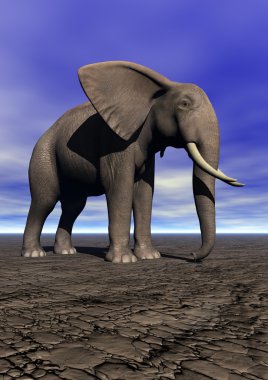 Elephant clipart