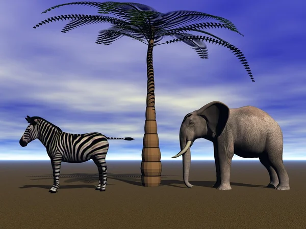Elefante e zebra — Fotografia de Stock