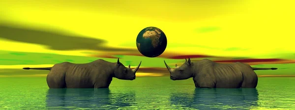 Rinoceronte — Foto Stock