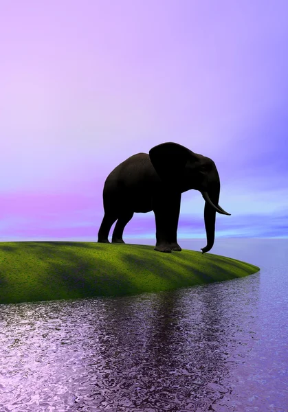 Elefante e mar — Fotografia de Stock