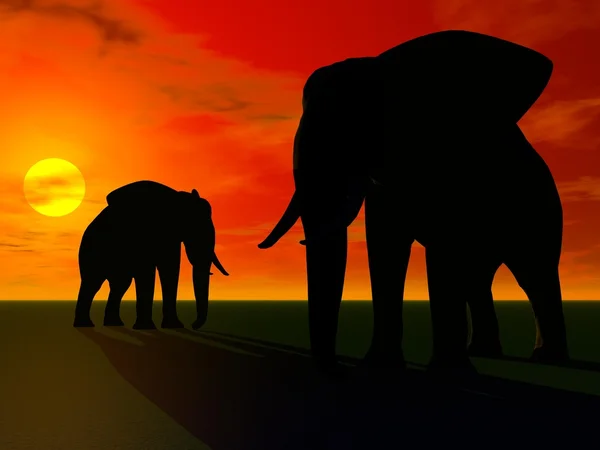 Elefanter och solen — Stockfoto