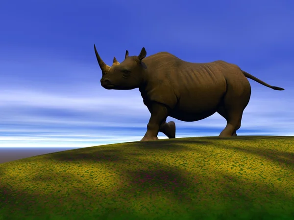 Rhinoceros — Stock Photo, Image
