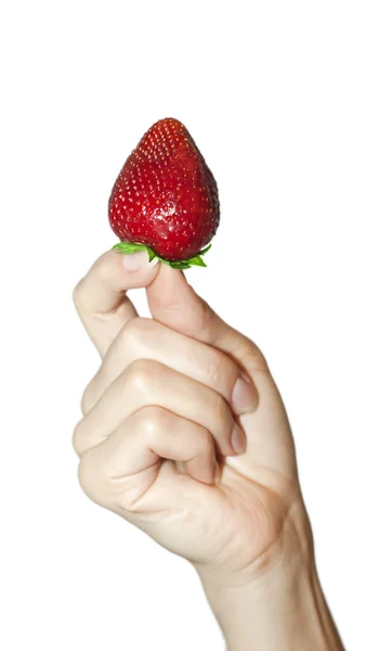 Fresa en mano . —  Fotos de Stock
