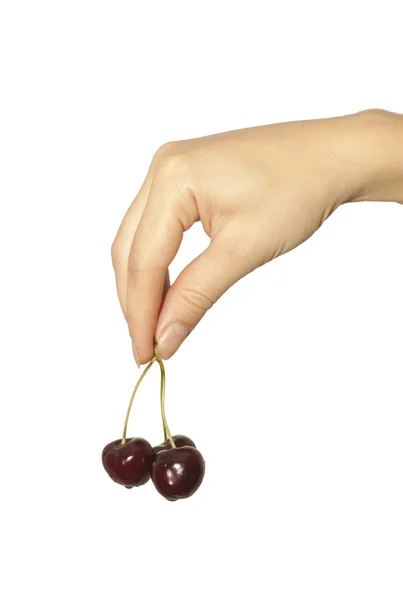 stock image Cherries in the women's hand isolated on white background