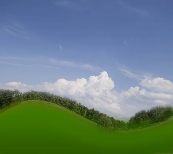 Zielone drzewa i błękitne niebo — Zdjęcie stockowe
