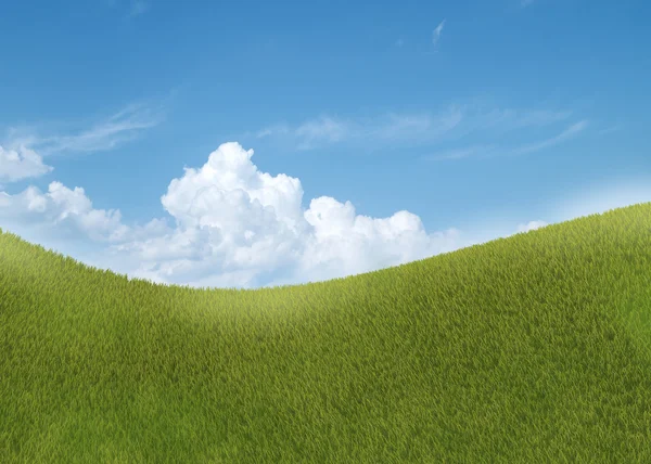 Zielona trawa i błękitne niebo z chmurami — Zdjęcie stockowe