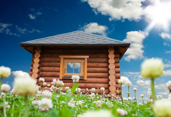 Маленький будинок на квітковому лузі — стокове фото