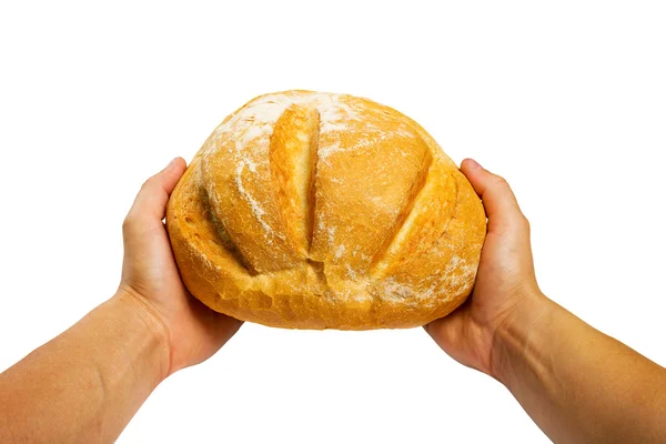 Hands with bread — Stock Photo, Image