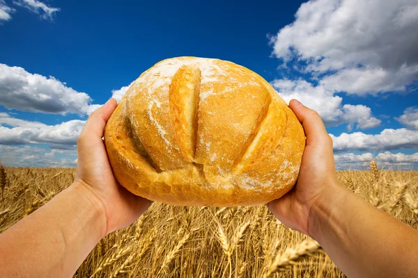 Manos con pan — Foto de Stock