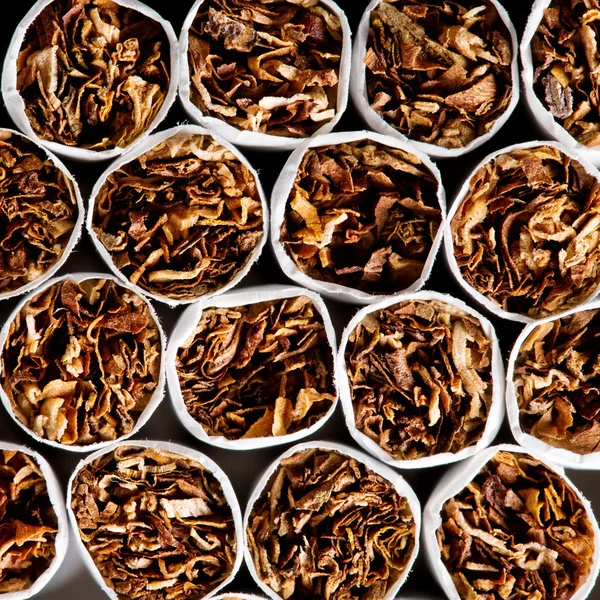 Cigaretta csomagolásban — Stock Fotó