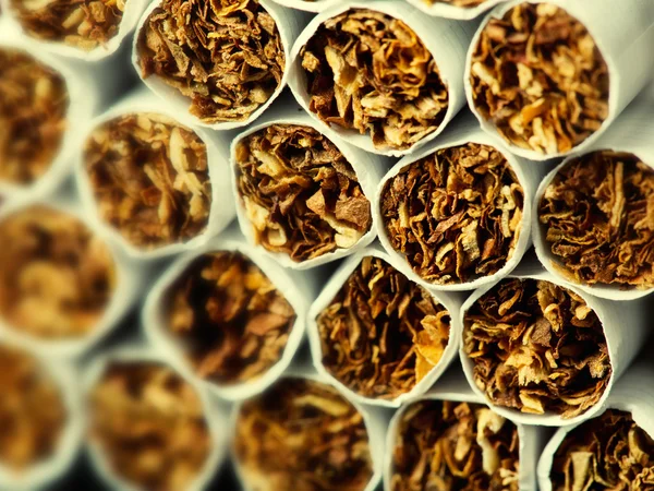 Cigarety v balení — Stock fotografie