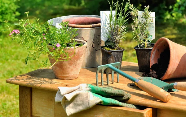 Mesa de jardinagem — Fotografia de Stock