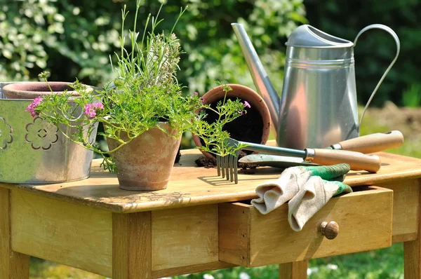 Gardening table — Stock Photo, Image