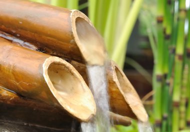 Bambu çeşme