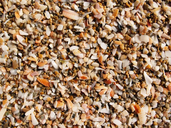 stock image Sand from shells