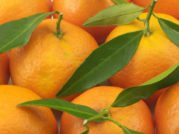 Juicy mandarin — Stock Photo, Image
