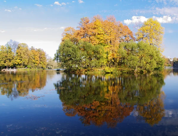 stock image Island with autumn trees