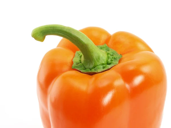 Tip van Oranje peper — Stockfoto