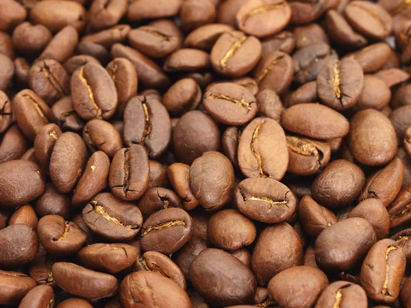 Kaffebönor bakgrund Stockbild