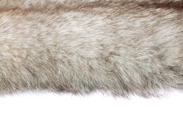 彩色动物皮毛纹理的关门 — 图库照片