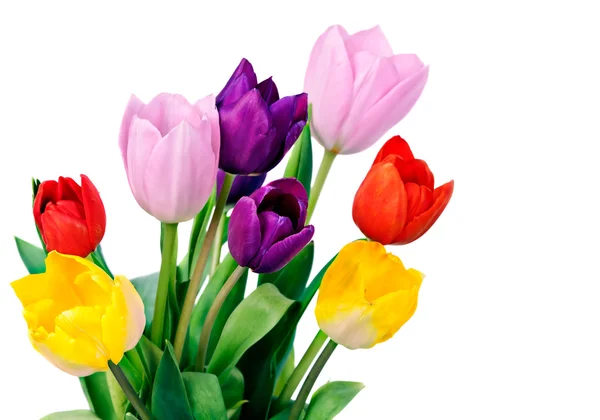 Tavaszi tulipán virág csokor — Stock Fotó