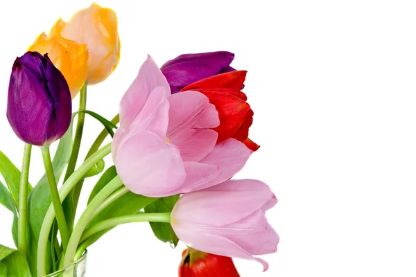 Tavaszi tulipán virág csokor — Stock Fotó