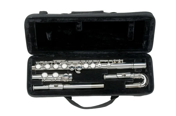 Flute case — Stock Photo, Image