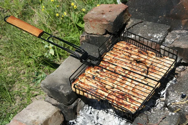Grill fra kylling - Stock-foto