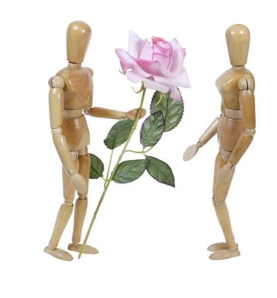 Wooden Model Giving Pink Rose — стокове фото