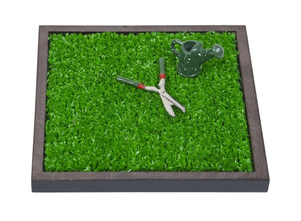 Gießkanne und Gartenschere auf dem Rasen — Stockfoto