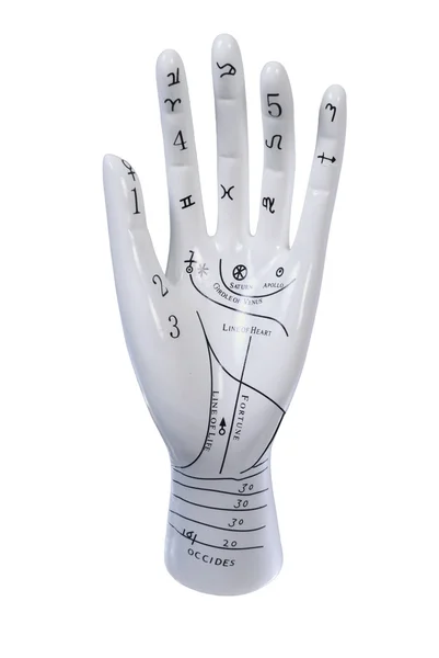 Palm lezen hand model — Stockfoto