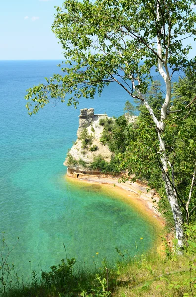 Birch Tree and Miners Castle at Pictured Rocks National Lakeshore — Stock Photo, Image