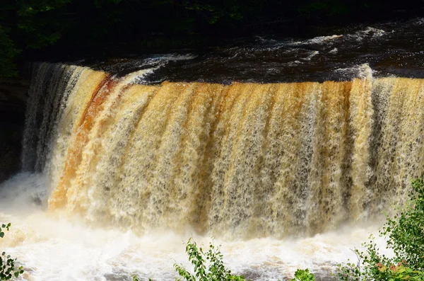 Upper Tahquamenon Falls near Paradise Michigan — Stock Photo, Image